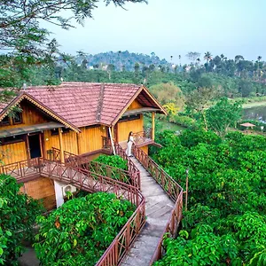 Niyatma Pool By Voye Homes Wayanad