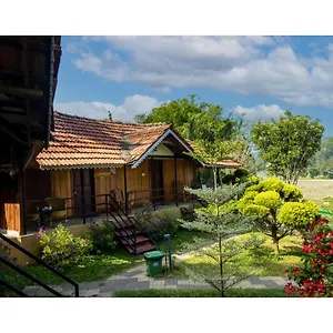 Mystery Maze And Wayanad