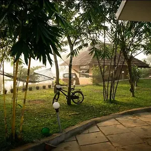 Bhuvi Natural Tea Plantation - Different Activity Packages Available To Make Your A Memorable One Wayanad