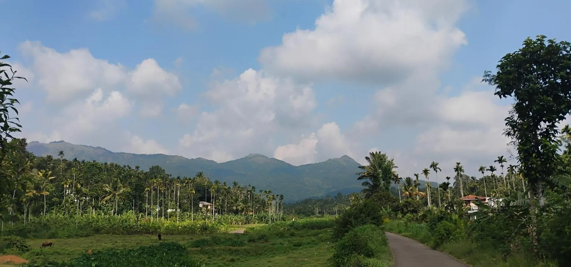 Rhythm Residency Wayanad Apartamento